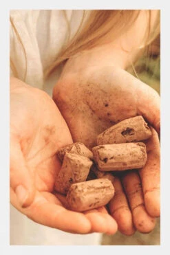 The Den Kit Co. The Plant A Tree For The Jubilee Kit 7 The Den Kit Co. The Plant A Tree For The Jubilee Kit -The North Face || Jack Wolfskin || Regatta Sales Store b4ac390073 8989 c