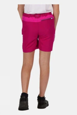 Regatta Kids Sorcer Mountain Shorts 14+ -The North Face || Jack Wolfskin || Regatta Sales Store c18240603535v