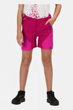 Regatta Childrens Sorcer Mountain Shorts -The North Face || Jack Wolfskin || Regatta Sales Store c28120423436w